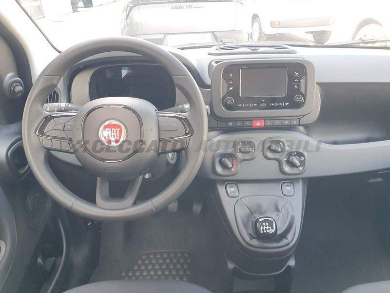 FIAT Panda Panda 1.0 firefly hybrid s&s 70cv