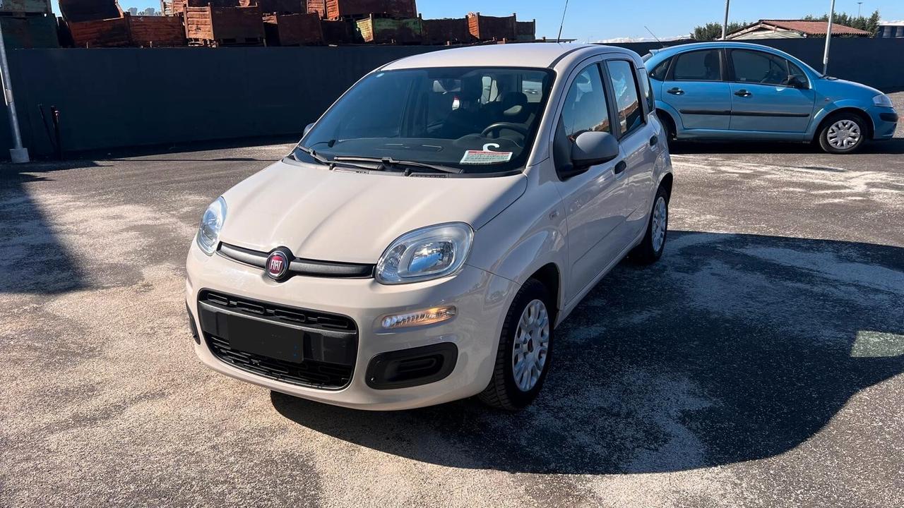 Fiat Panda 1.2 Easy NEOPATENTATI-UNICO PROPRIETARIO
