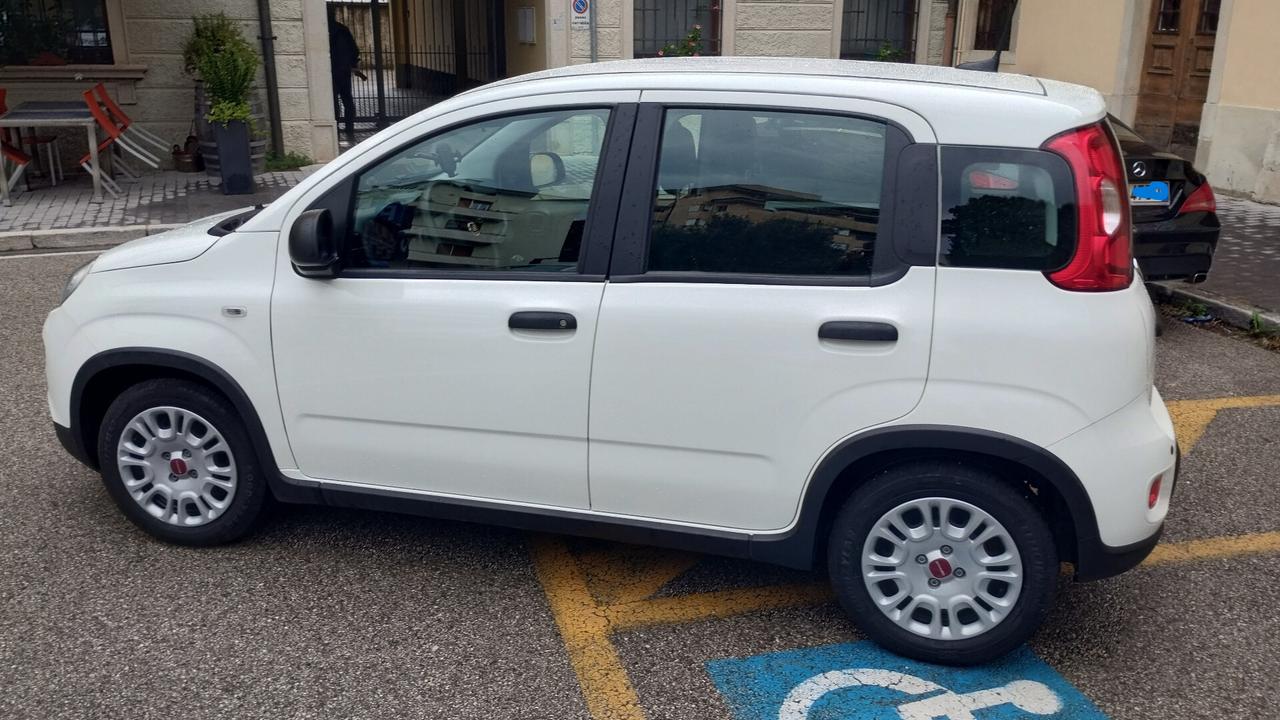 Fiat Panda 1.0 FireFly S&S Hybrid NEOPATENTATI