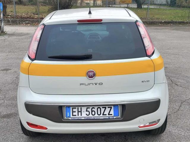 FIAT Punto Evo 1.3 MJT 75CV 5p. Van Dynamic senza lavoro da fare