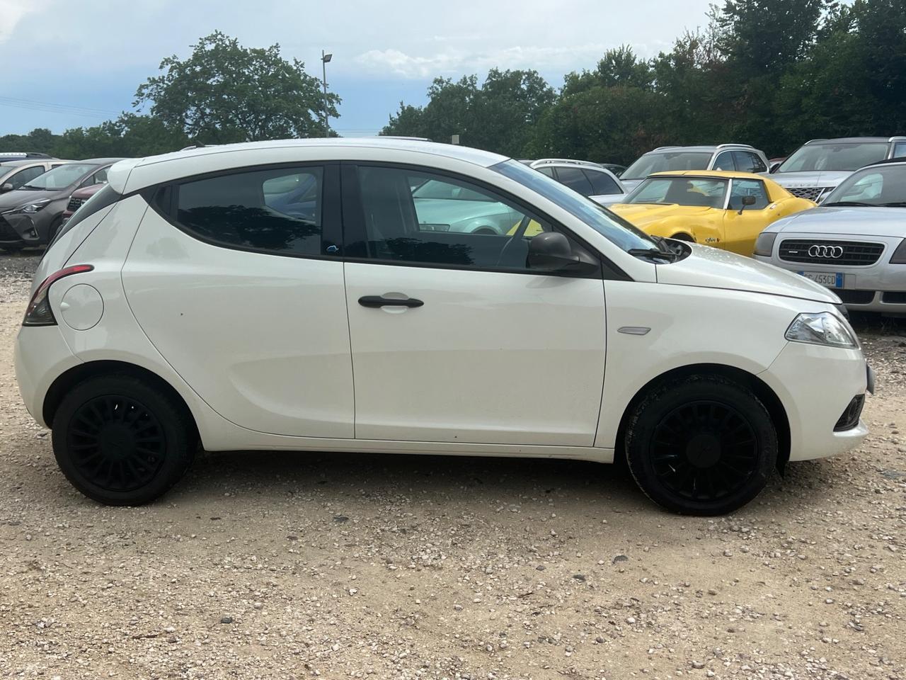 Lancia Ypsilon 1.2 69 CV Platinum NEOPATENTATI PERMUTE RATE GARANZIA