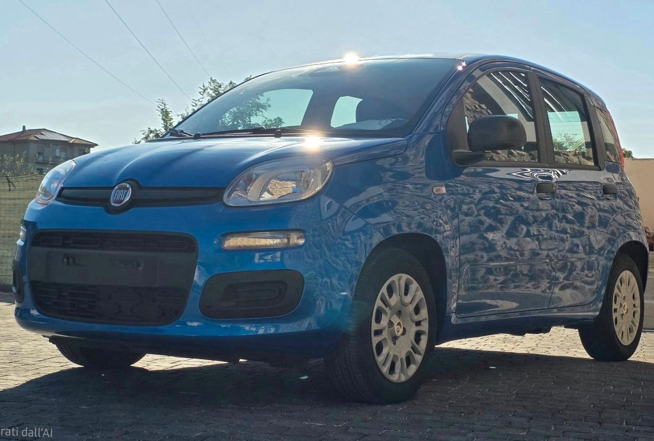 Fiat Panda 1.0 FireFly S&S Hybrid Pandina