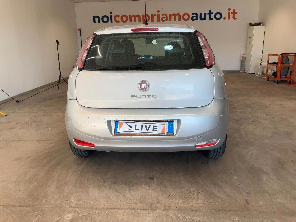 AUTO IN ARRIVO Fiat Punto 1.2 8V 5 porte Lounge