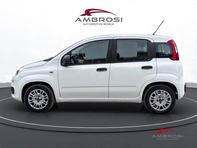 FIAT Panda 1.2 Easy - PER OPERATORI DEL SETTORE