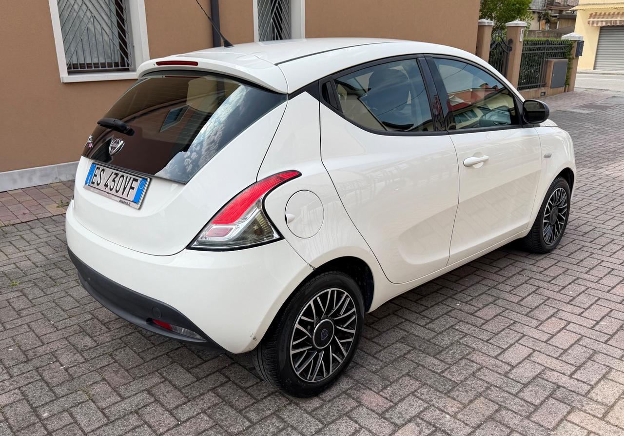 Lancia Ypsilon 1.3 MJT 16V 95 CV Ok Neopatentati