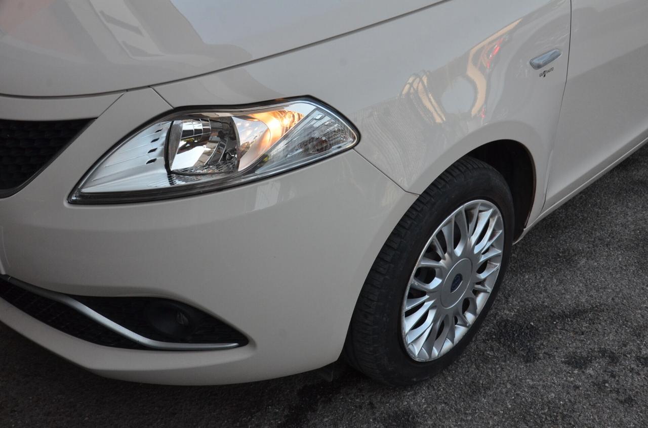 Lancia Ypsilon 1.2 69 CV 5 porte Gold