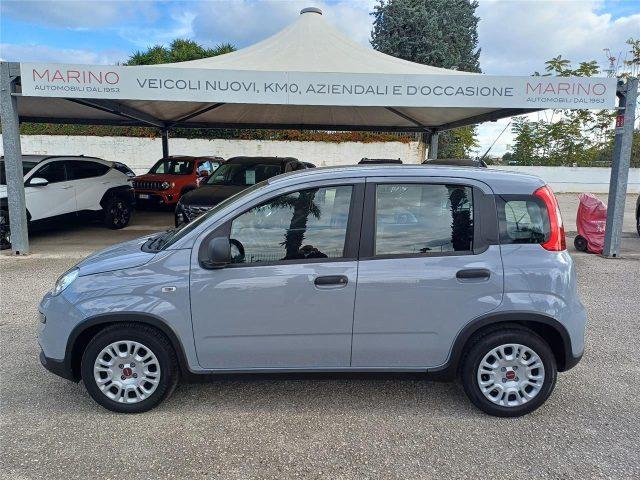 FIAT Panda 3ª serie 1.0 FireFly S&S Hybrid City Life