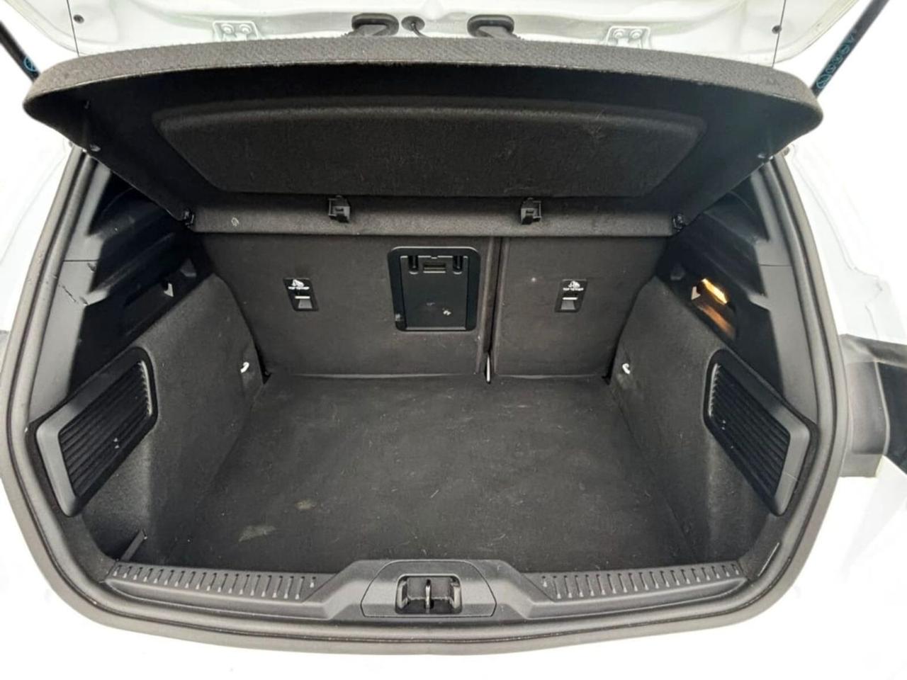 Ford Focus 5 Porte 1.5 EcoBlue 115cv ST-Line Auto