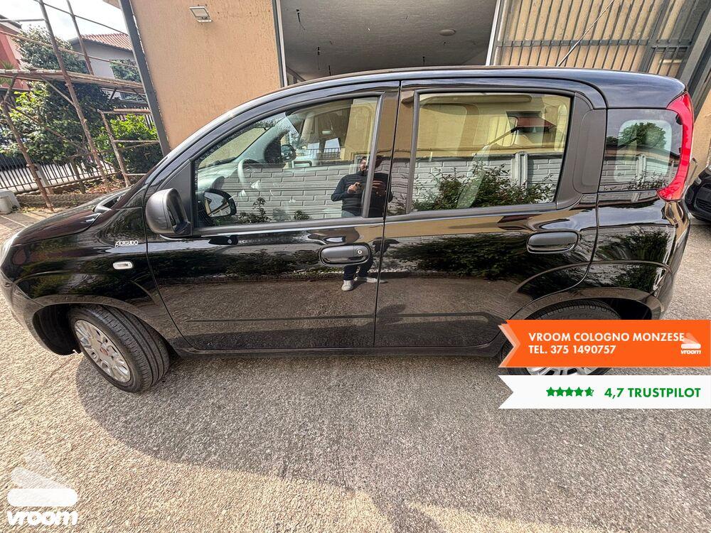 FIAT Panda 3ª serie Panda 1.0 FireFly S&S Hybrid