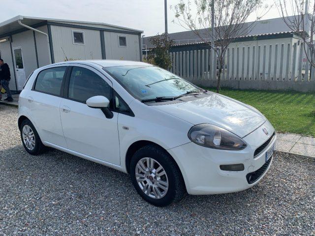 FIAT Punto 1.2 8V 5 porte Street