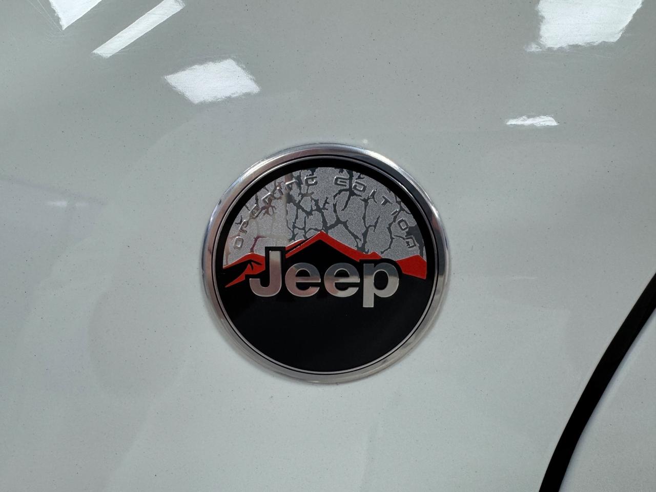 Jeep Renegade 1.6 Mjt 120 CV Opening Edition