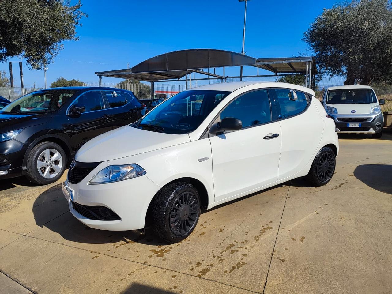 Lancia Ypsilon 1.2 69 CV 5 porte S&S Elefantino Blu