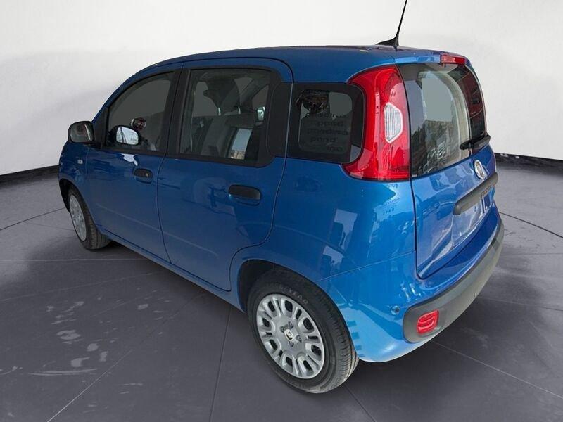 FIAT Pandina My26 1.0 65cv Hybrid Icon