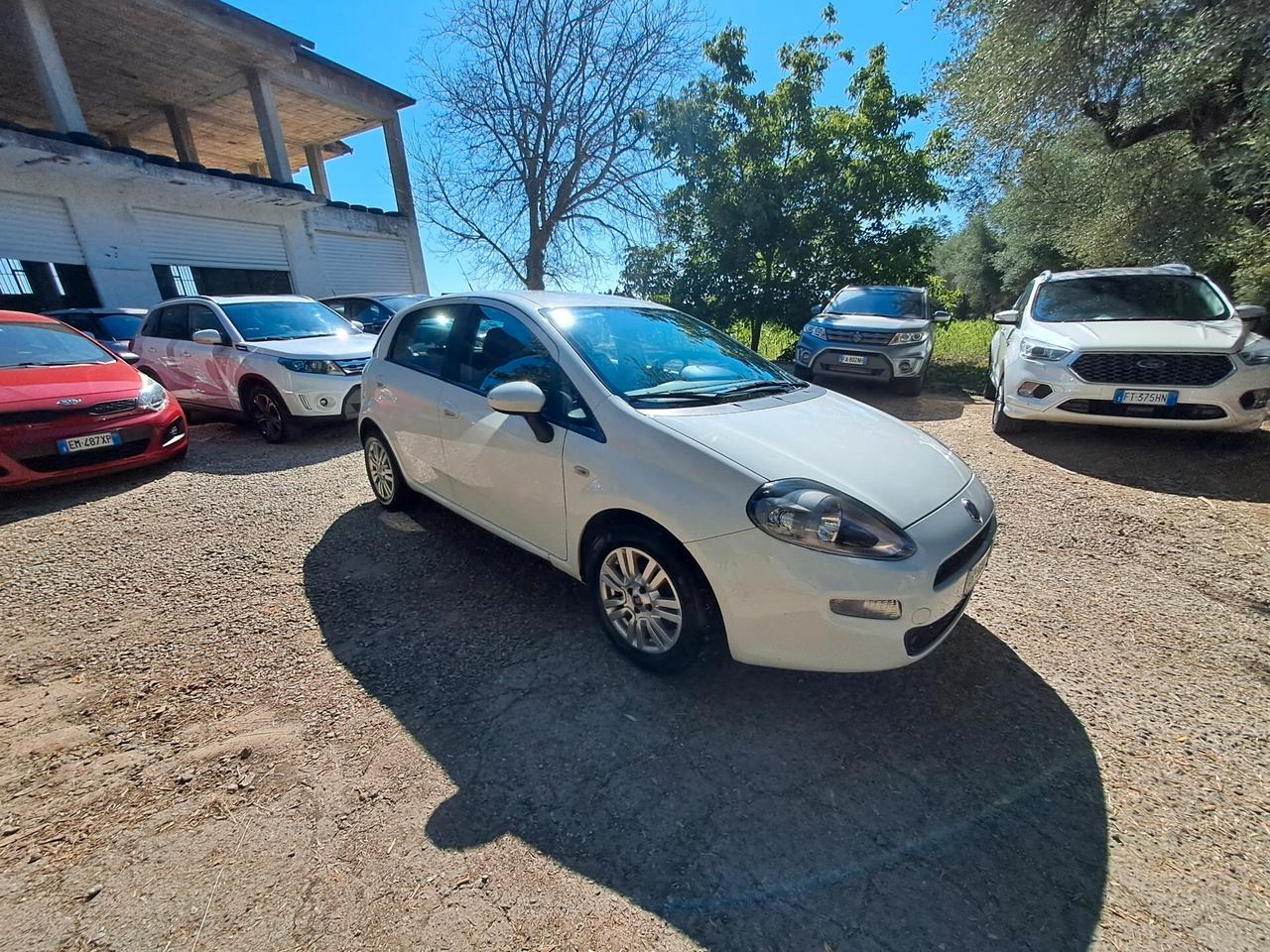 Fiat Punto 1.3 MJT II 75 CV 5 porte Lounge