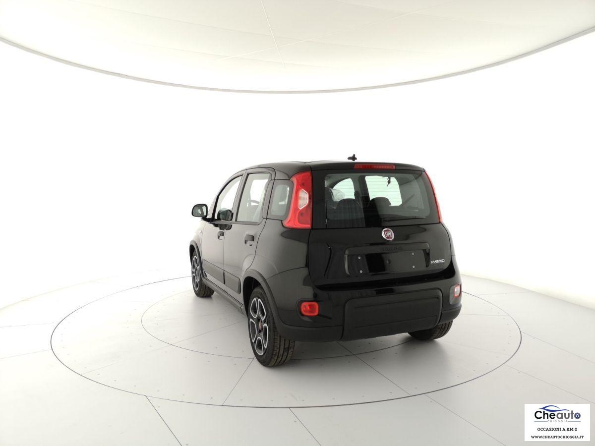 FIAT - Panda - 1.0 FireFly S&S Hybrid Launch Ed.