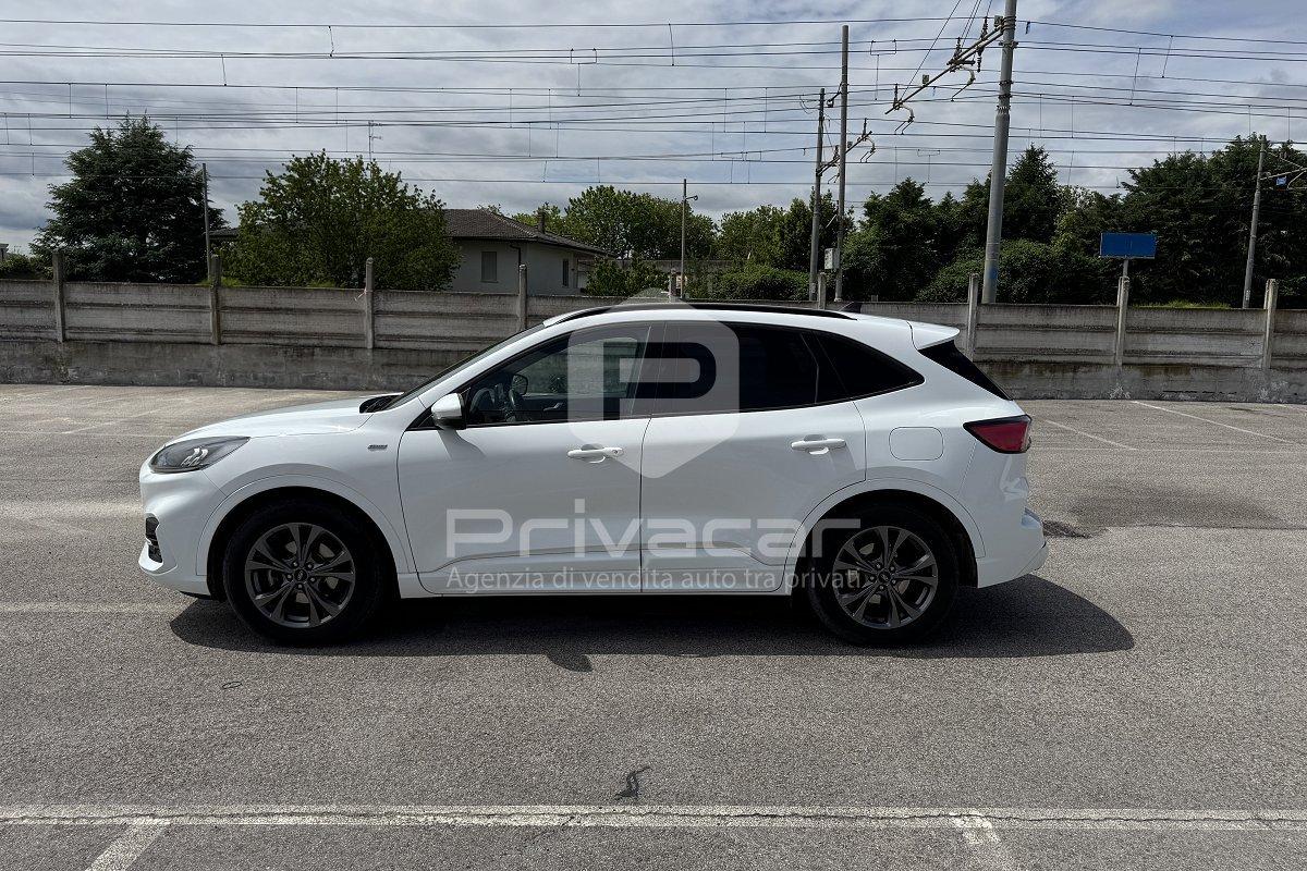 FORD Kuga 1.5 EcoBlue 120 CV 2WD ST-Line
