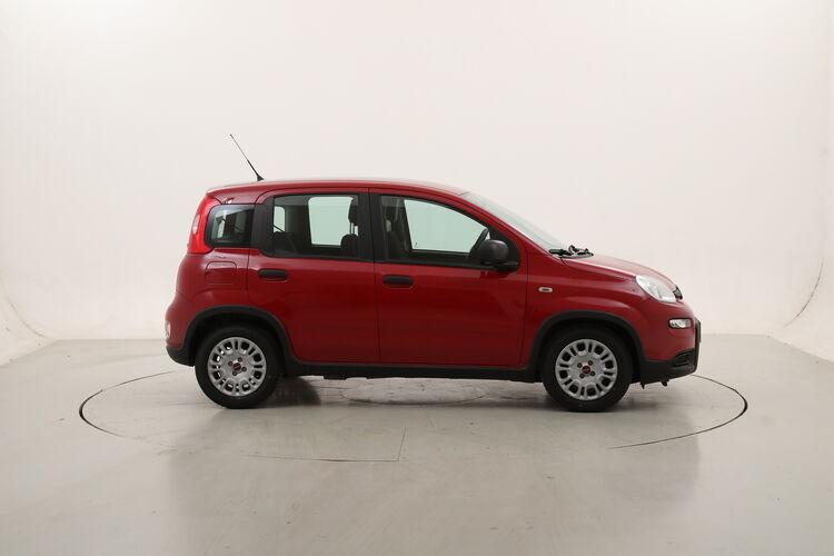 Fiat Panda Hybrid BR867160 1.0 Mild Hybrid 70CV