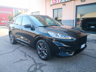 Ford Kuga 2.0 EcoBlue 150 CV aut. AWD ST-Line