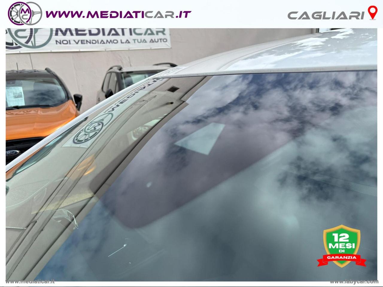 CITROEN C4 X BlueHDI 130 S&S EAT8 Max