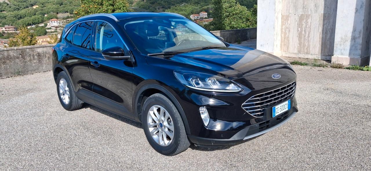 Ford Kuga 1.5 EcoBlue 120 CV 2WD Titanium