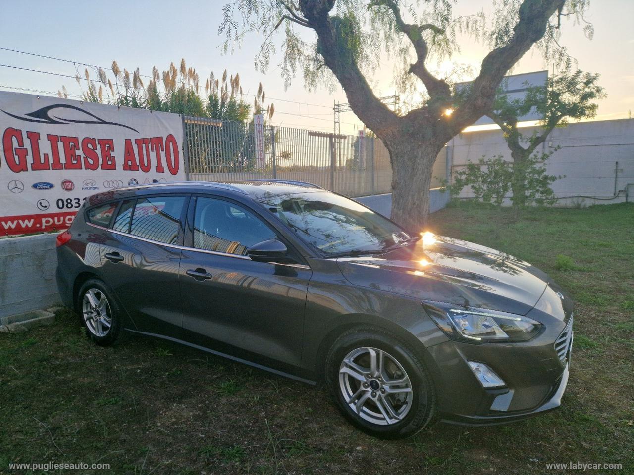 FORD Focus 1.5 EcoBlue 120CV 5p. Business