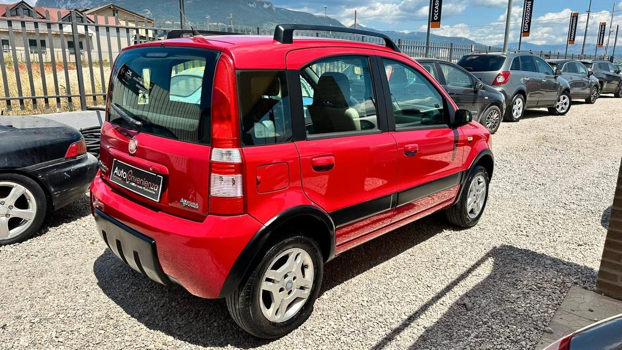 Fiat Panda 1.2 Climbing Natural Power