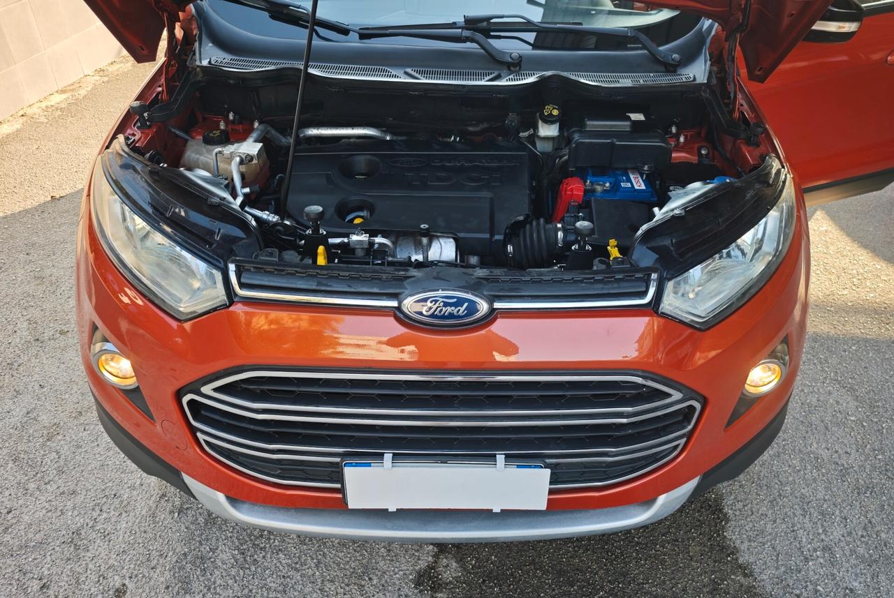 SENZA 1 GRAFFIO ECOSPORT 1.5DCI 90CV PRONTA CONSEGNA