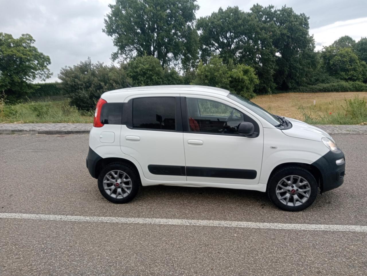 Fiat Panda Van 1.3 mjet 4x4