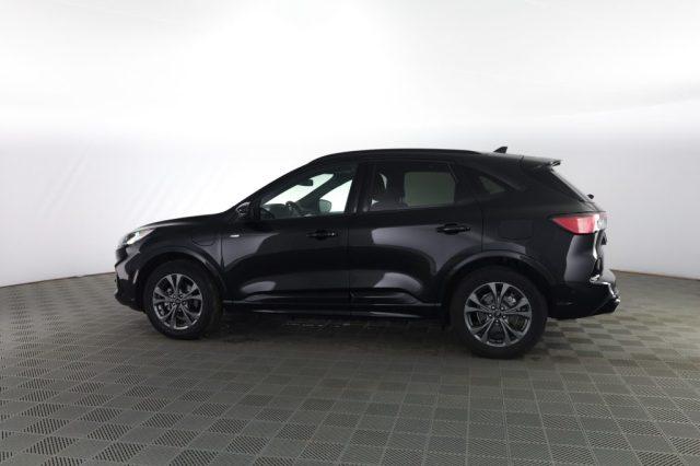 FORD Kuga Kuga 2.5 Plug In Hybrid 225 CV CVT 2WD ST-Line