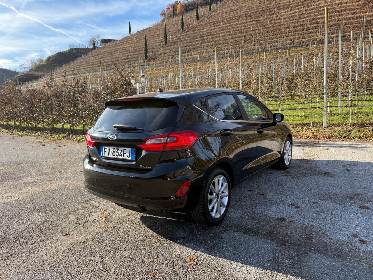 Ford Fiesta 1.5 EcoBlue 5 porte Vignale