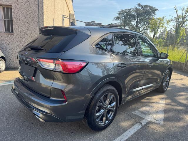 FORD Kuga 2.0 EcoBlue 120 CV Aut. 2WD ST-Line
