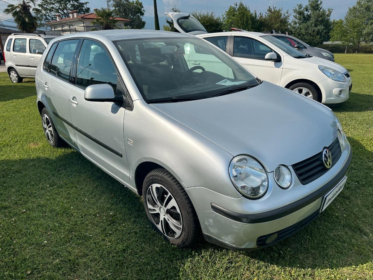 Volkswagen Polo 5 Porte Polo 5p 1.4 Comfortline c/abs 75cv