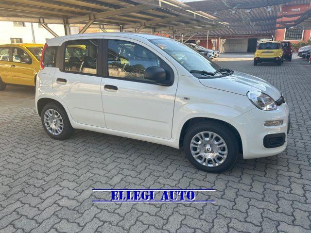 FIAT Panda 1.0 HYBRID 5 POSTI +PACK CITY KM 0
