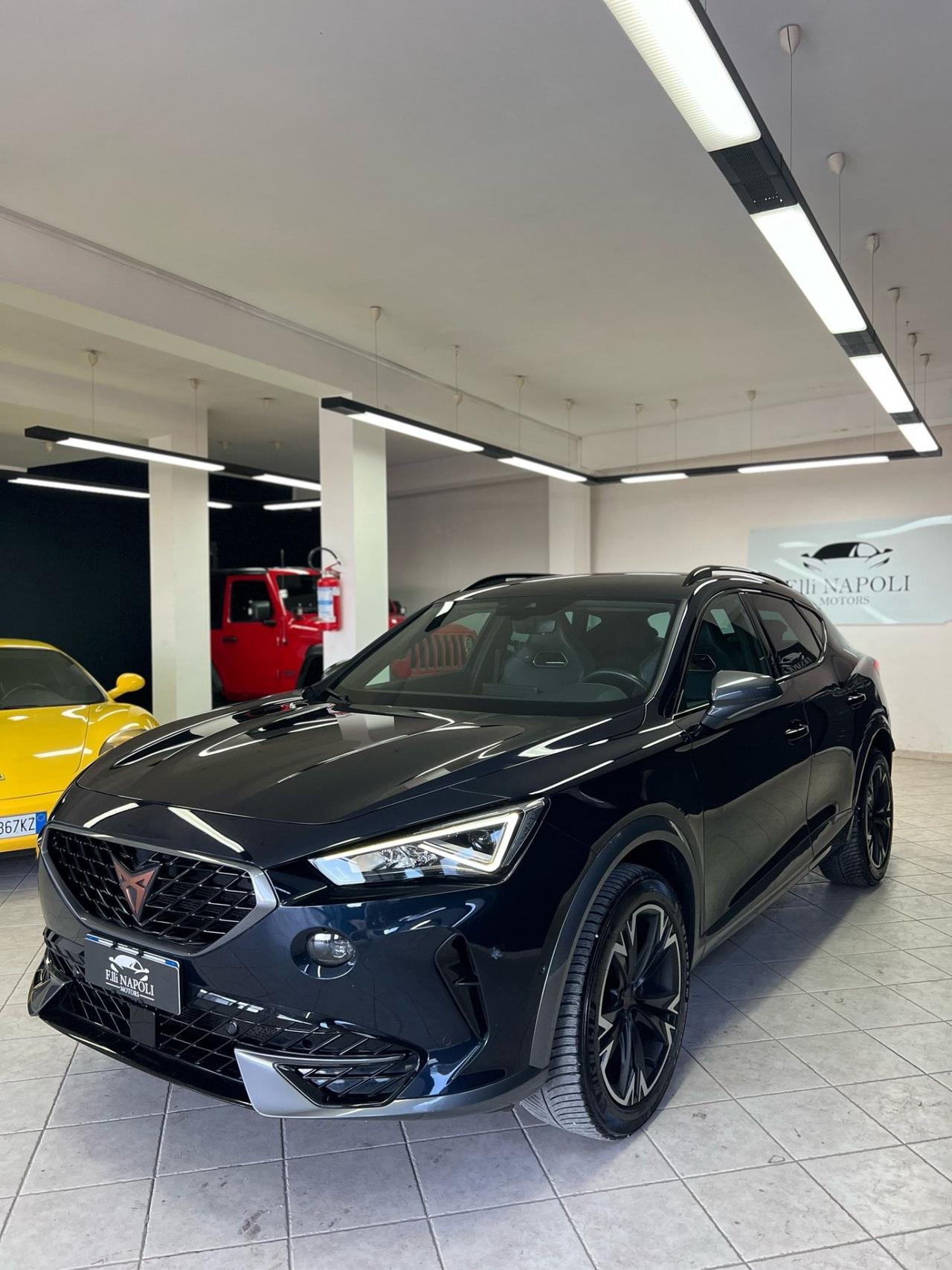Cupra Formentor 2.0 TDI 4Drive DSG