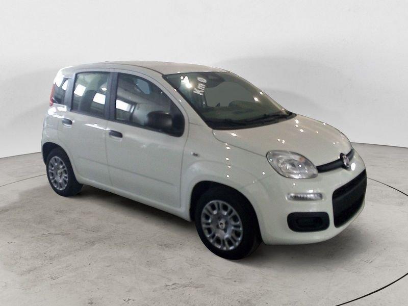 FIAT Panda NEW My25 1.0 70cv Hybrid Panda