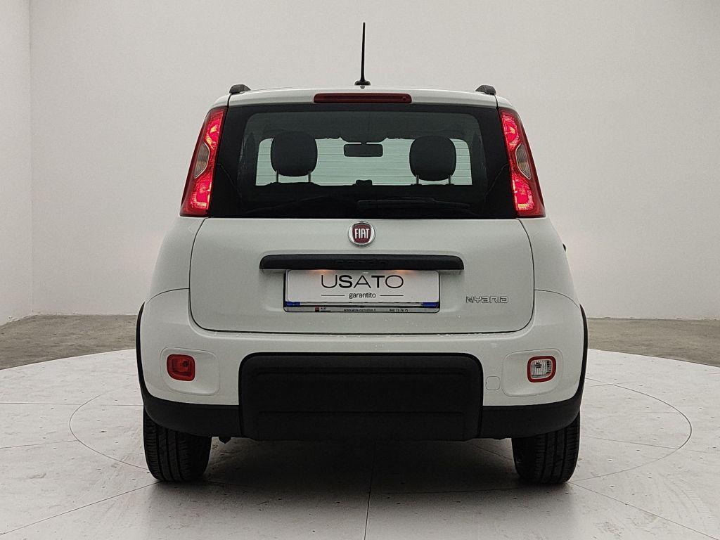 FIAT Panda 3ª serie - Panda 1.0 FireFly S&S Hybrid City Life