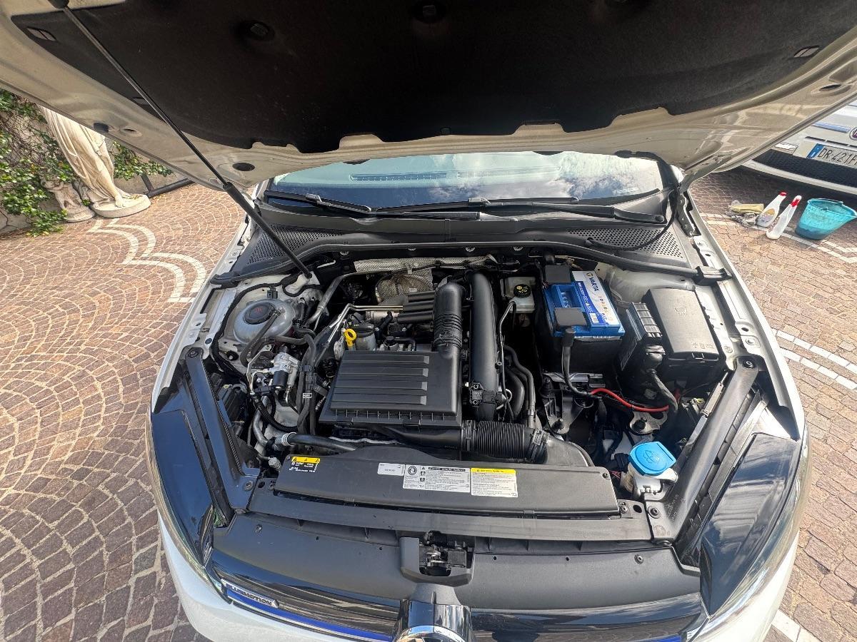 VOLKSWAGEN Golf 1.4 TGI 5p. Executive BlueMotion