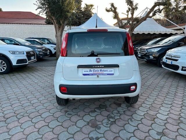 FIAT Panda 1.2 Benz. 70CV Easy - 2019