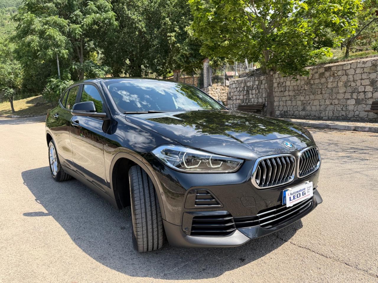 Bmw X2 xDrive18d Business-X