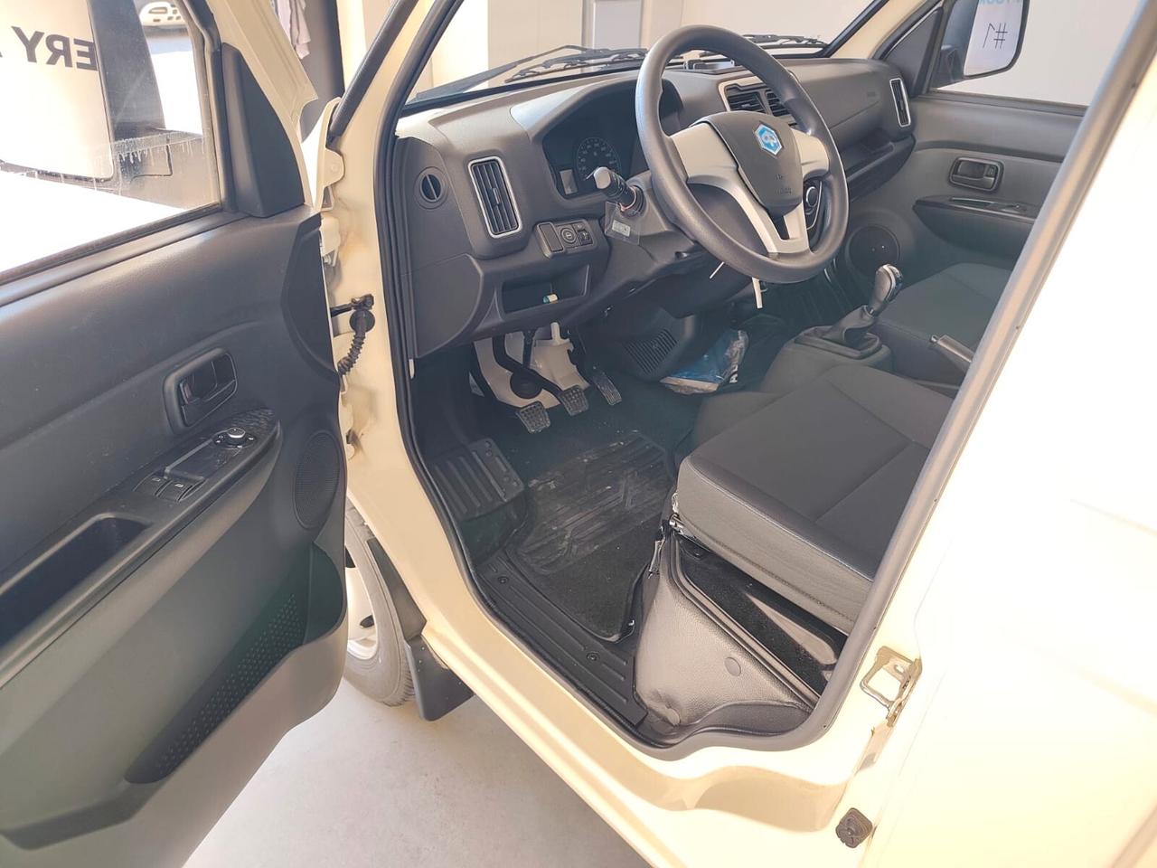 Piaggio Porter NP6 1.5 PL Long Range LPG Cassonato Extra Pro GEMELLATO