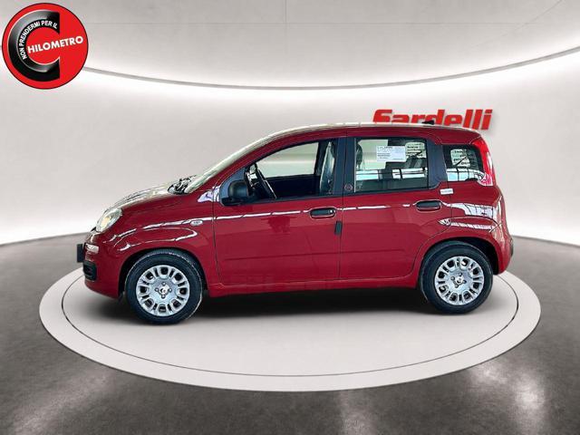 FIAT Pandina 1.0 FireFly 65 CV Hybrid Icon