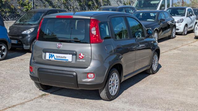 FIAT Panda FireFly Hybrid 1.0cc 69cv