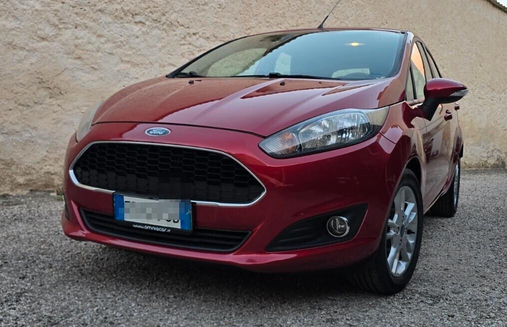 Ford Fiesta 1.5 TDCi 95CV 5 porte Business