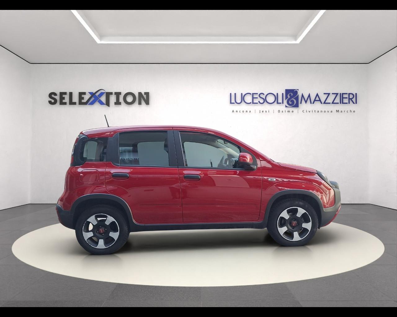 FIAT Panda 3ª serie - Panda 1.0 FireFly S&S Hybrid City Cross