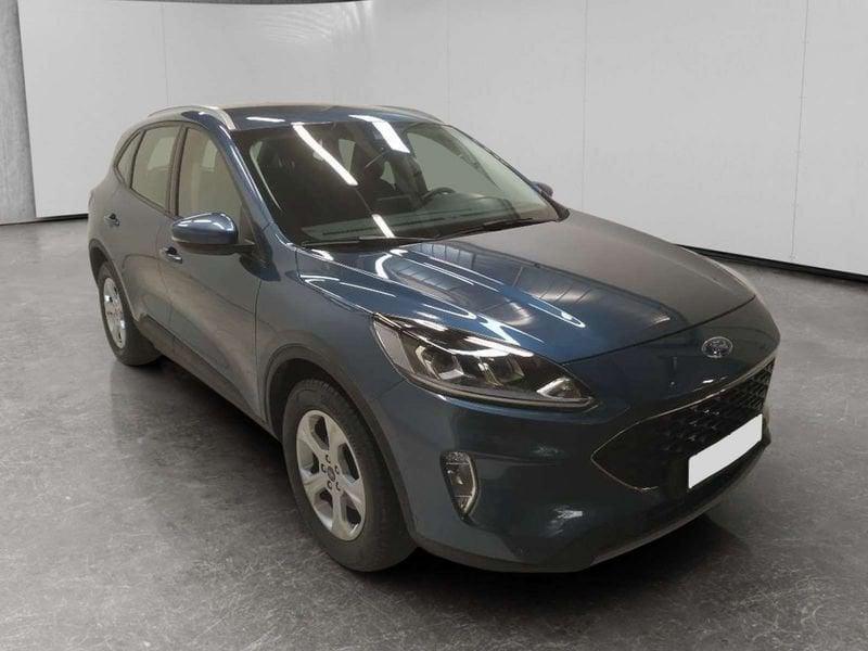 Ford Kuga 1.5 ecoblue Connect 2wd 120cv