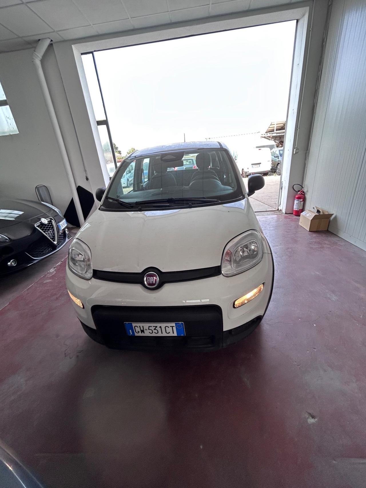 Fiat Panda 1.0 FireFly S&S Hybrid Pandina km1.500