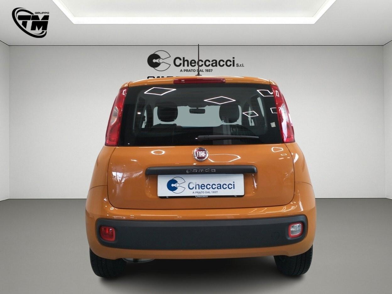 Fiat Panda 1.0 FireFly S&S Hybrid