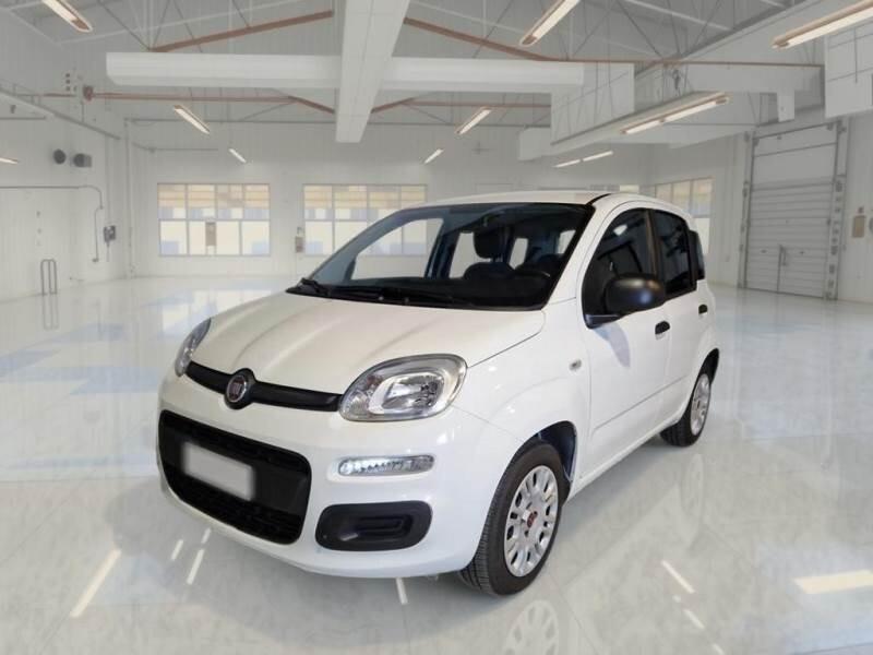 FIAT PANDA 1200 CC 69 CV EASY