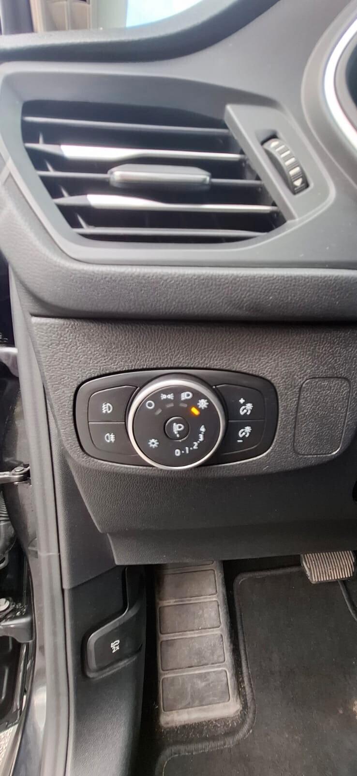 Ford Focus 1.5 EcoBlue 120 CV automatico 5p. Business Co-Pilot
