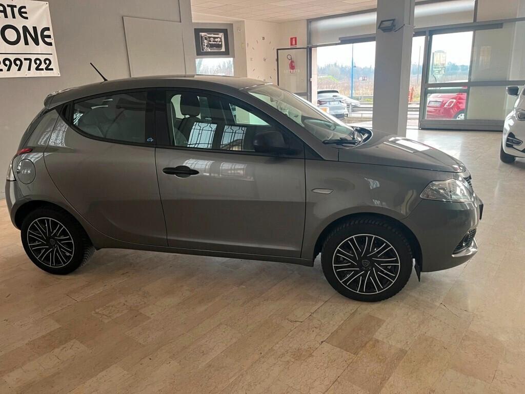 Lancia Ypsilon 1.2 69cv 5p Gpl Ecochic Adatta a Neopatentati